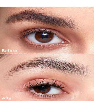 ژل ابرو کاسه ای شیگلم