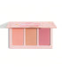 پالت رژگونه سه رنگ SWEET CHEEKS شیگلم Enamored