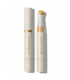 کانسیلر اسفنجی Complexion Boost شیگلم nude