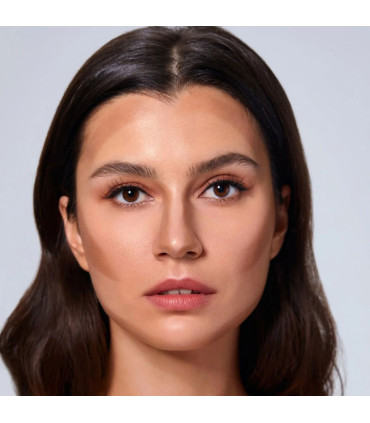 کانتور استیکی شیگلم