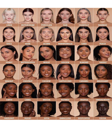 پنکک مات فول کاور SKIN-FOCUS HIGH شیگلم