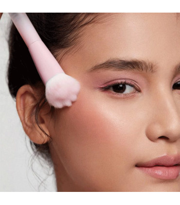 براش رژگونه پنجه گربه ای شیگلم