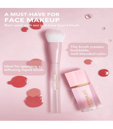 براش رژگونه پنجه گربه ای شیگلم