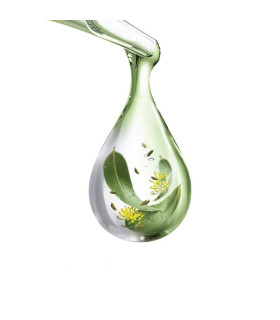 خمیردندان herbal سنسوداین