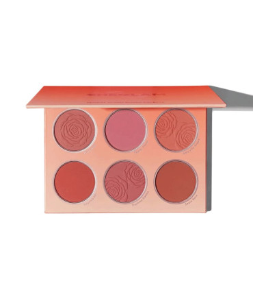 رژگونه Multicolor شیگلم