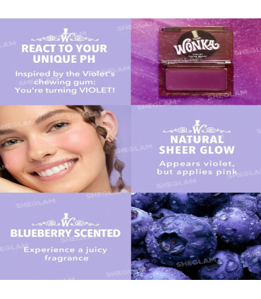 پالت رژگونه ویلی وانکا شیگلم